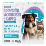 RIO GRANDE : EL MUNICIPIO REALIZARÁ UNA JORNADA DE ADOPCIÓN RESPONSABLE, VACUNACIÓN ANTIRRÁBICA Y CHIPEO PARA PERROS Y GATOS