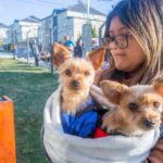 USHUAIA : EL MUNICIPIO ATENDIÓ MÁS DE 200 ANIMALES DURANTE LA JORNADA “ZOONOSIS MÁS CERCA” EN Bº RÍO PIPO