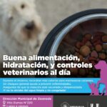 LA MUNICIPALIDAD RECUERDA LA IMPORTANCIA DEL CUIDADO INTEGRAL DE LAS MASCOTAS DURANTE EL INVIERNO