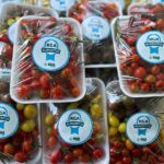 RGA ALIMENTOS: PRODUCCIÓN TODO EL AÑO