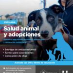 USHUAIA : ZOONOSIS MUNICIPAL REALIZARÁ UNA JORNADA DE SALUD ANIMAL EN EL PASEO DE LAS ROSAS