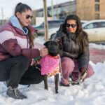 USHUAIA : MÁS DE 100 PERSONAS PARTICIPARON DE LA JORNADA DE SALUD ANIMAL EN EL PASEO DE LAS ROSAS