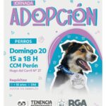 RGA MASCOTERA: SUMA UN NUEVO AMIGO DE CUATRO PATAS A TU FAMILIA