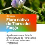 GOBIERNO LANZA CONCURSO PARA ELABORAR LA PRIMERA GUÍA DE FLORA NATIVA DE LAS ÁREAS NATURALES PROTEGIDAS