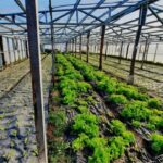 GOBIERNO IMPULSA LA PRODUCCIÓN LOCAL CON UN NUEVO PROTOCOLO PARA EL SELLO DE CALIDAD CERTIFICADA DE LA PROVINCIA