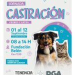 RGA MASCOTERA: EL MUNICIPIO REALIZARÁ UNA NUEVA JORNADA DE CASTRACIÓN MASIVA EN ZONA SUR