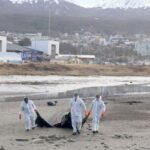 USHUAIA : LA MUNICIPALIDAD  JUNTO A PREFECTURA NAVAL Y LA ASOCIACIÓN ABE REALIZARON JORNADA DE LIMPIEZA EN LA BAHÍA ENCERRADA