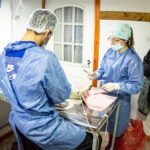 RIO GRANDE : ESTE VIERNES ES EL ÚLTIMO DÍA DE LA JORNADA DE CASTRACIÓN MASIVA EN ZONA SUR