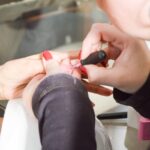 NUEVAS PROPUESTAS RECREATIVAS Y EDUCATIVAS EN EL SUM PATAGONIA DE RÍO GRANDE