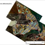 SE REALIZÓ EL RELEVAMIENTO PROVINCIAL DE PERROS SUELTOS, UN PASO CLAVE PARA FORTALECER EL CUIDADO RESPONSABLE