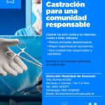 USHUAIA : LA MUNICIPALIDAD IMPULSA JORNADAS GRATUITAS DE CASTRACIÓN EN USHUAIA