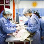 RIO GRANDE : ACCEDÉ AL SERVICIO VETERINARIO DE CASTRACIÓN DEL MUNICIPIO