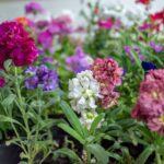 USHUAIA : COMENZÓ LA EXPO AMBIENTAL 2025: USHUAIA FRENTE AL CAMBIO CLIMÁTICO