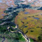 SE HABILITÓ LA TEMPORADA DE VISITA AL ÁREA NATURAL PROTEGIDA PENÍNSULA MITRE