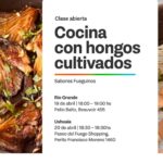 COCINA CON HONGOS: UNA INVITACIÓN A DESCUBRIR EL MUNDO FUNGI Y SU VALOR EN LA PRODUCCIÓN LOCAL