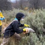 LA PROVINCIA Y EL MALBRAN DESPLIEGAN OPERATIVO DE VIGILANCIA EPIDEMIOLÓGICA  CON 150 TRAMPAS