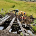 GOBIERNO DECLARÓ DE INTERÉS AMBIENTAL LA PARTICIPACIÓN CIUDADANA PARA LA RESTAURACIÓN DE LA RESERVA CORAZÓN DE LA ISLA