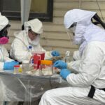 SALUD CONFIRMÓ QUE LA VARIANTE DE HANTAVIRUS VINCULADA AL CRUCERO MV HONDIUS NO CIRCULA EN USHUAIA