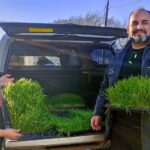 RIO GRANDE : EL MUNICIPIO PRODUCE FORRAJE VERDE HIDROPÓNICO PARA FORTALECER A LOS PRODUCTORES AVÍCOLAS DE LA CIUDAD